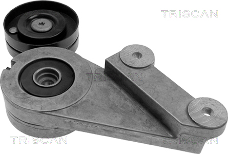 TRISCAN Riemenspanner, Keilrippenriemen