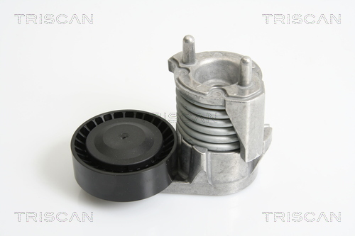 TRISCAN Riemenspanner, Keilrippenriemen