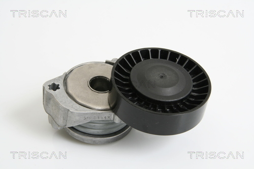 TRISCAN Riemenspanner, Keilrippenriemen