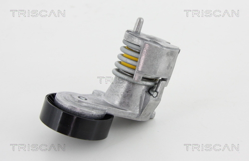 TRISCAN Riemenspanner, Keilrippenriemen