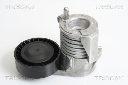 TRISCAN Riemenspanner, Keilrippenriemen