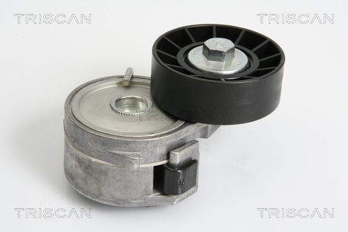 TRISCAN Riemenspanner, Keilrippenriemen