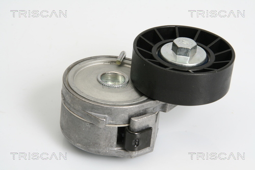 TRISCAN Riemenspanner, Keilrippenriemen