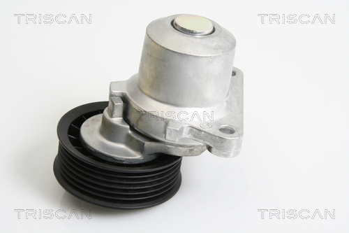TRISCAN Riemenspanner, Keilrippenriemen