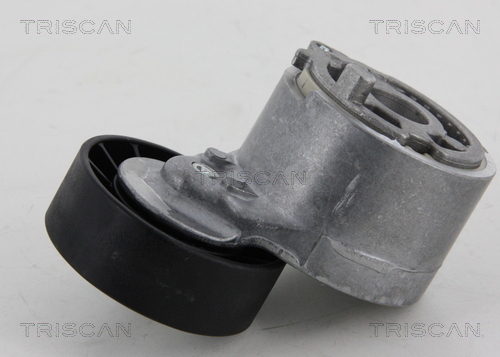 TRISCAN Riemenspanner, Keilrippenriemen