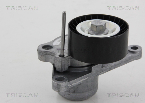 TRISCAN Riemenspanner, Keilrippenriemen