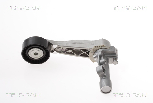 TRISCAN Riemenspanner, Keilrippenriemen