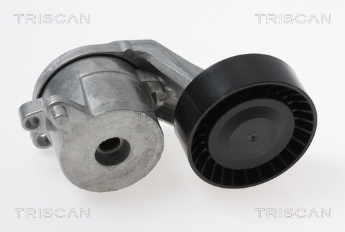 TRISCAN Riemenspanner, Keilrippenriemen