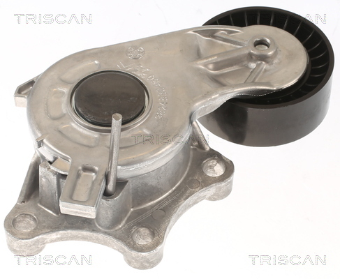 TRISCAN Riemenspanner, Keilrippenriemen