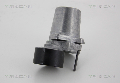 TRISCAN Riemenspanner, Keilrippenriemen