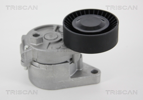 TRISCAN Riemenspanner, Keilrippenriemen