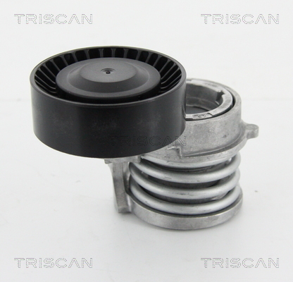 TRISCAN Riemenspanner, Keilrippenriemen