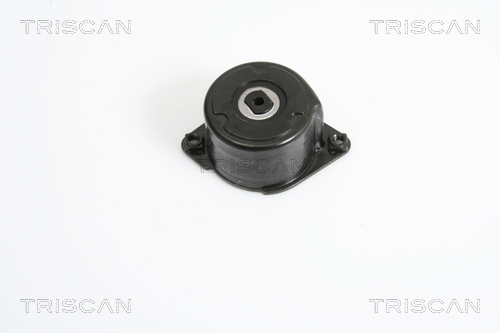 TRISCAN Riemenspanner, Keilrippenriemen
