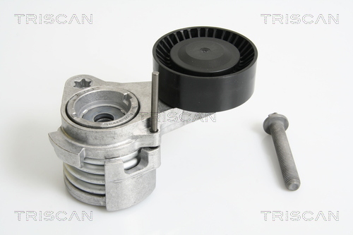 TRISCAN Riemenspanner, Keilrippenriemen