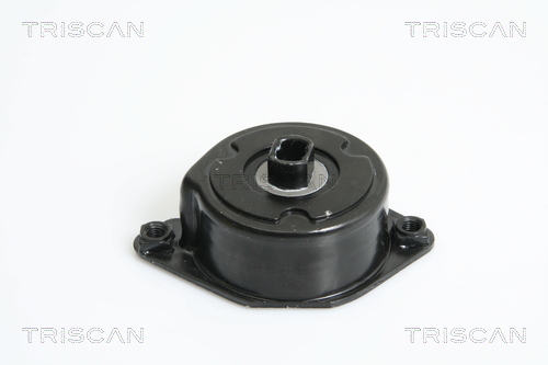TRISCAN Riemenspanner, Keilrippenriemen