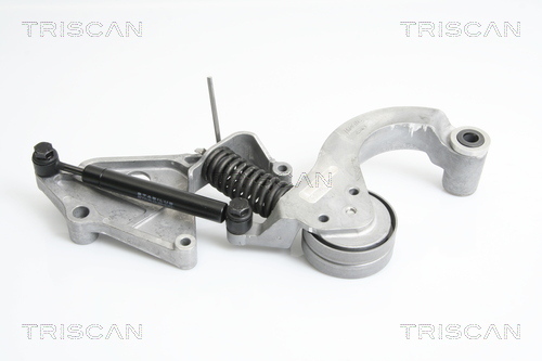 TRISCAN Riemenspanner, Keilrippenriemen
