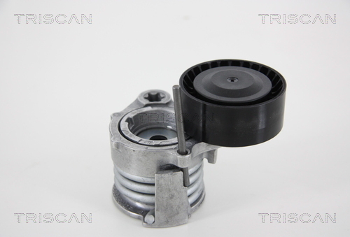 TRISCAN Riemenspanner, Keilrippenriemen