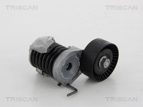TRISCAN Riemenspanner, Keilrippenriemen