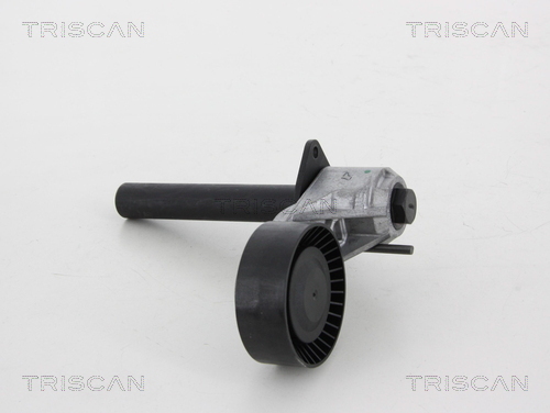 TRISCAN Riemenspanner, Keilrippenriemen