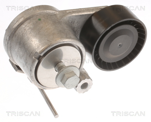TRISCAN Riemenspanner, Keilrippenriemen