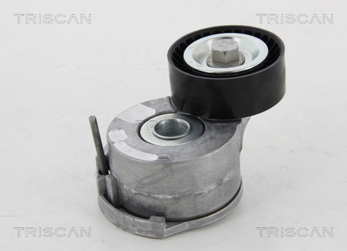 TRISCAN Riemenspanner, Keilrippenriemen