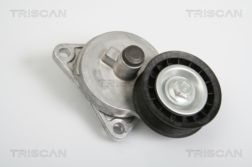 TRISCAN Riemenspanner, Keilrippenriemen