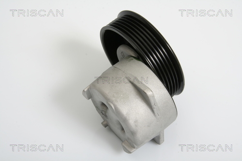 TRISCAN Spannrolle, Keilrippenriemen