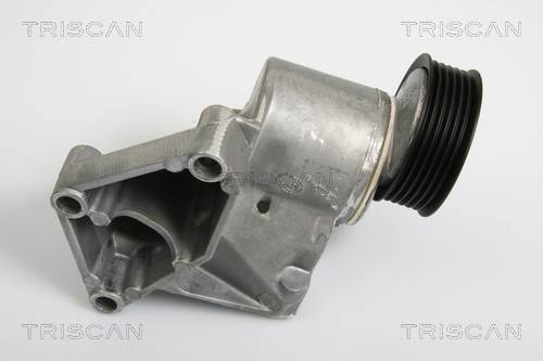 TRISCAN Riemenspanner, Keilrippenriemen