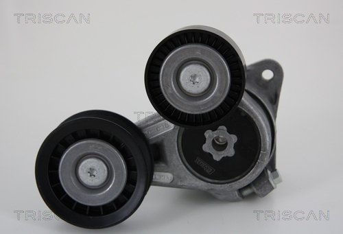 TRISCAN Riemenspanner, Keilrippenriemen