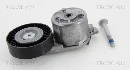 TRISCAN Riemenspanner, Keilrippenriemen