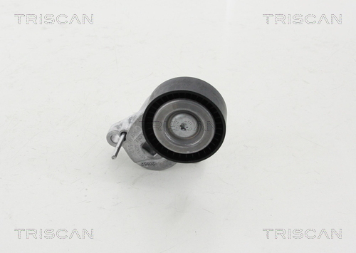TRISCAN Riemenspanner, Keilrippenriemen