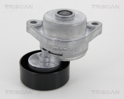 TRISCAN Riemenspanner, Keilrippenriemen