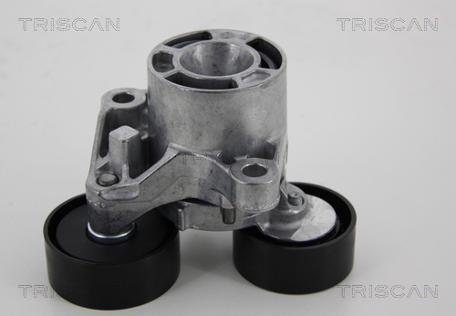 TRISCAN Riemenspanner, Keilrippenriemen