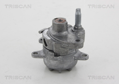 TRISCAN Riemenspanner, Keilrippenriemen