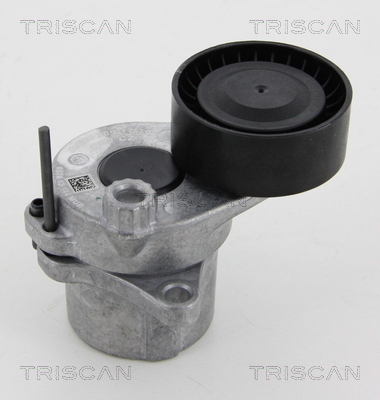TRISCAN Riemenspanner, Keilrippenriemen