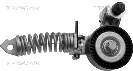 TRISCAN Riemenspanner, Keilrippenriemen