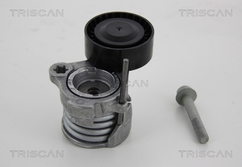TRISCAN Riemenspanner, Keilrippenriemen