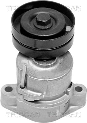 TRISCAN Riemenspanner, Keilrippenriemen