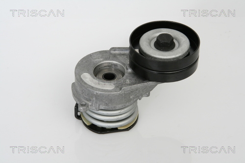 TRISCAN Riemenspanner, Keilrippenriemen