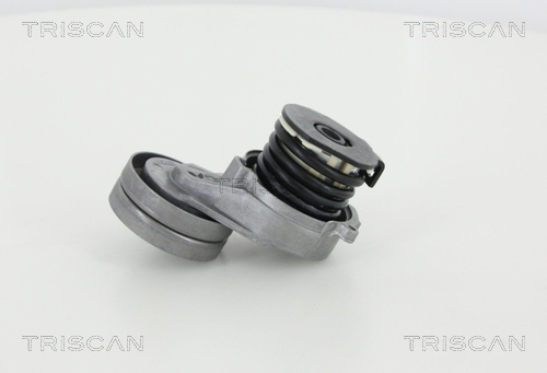 TRISCAN Riemenspanner, Keilrippenriemen