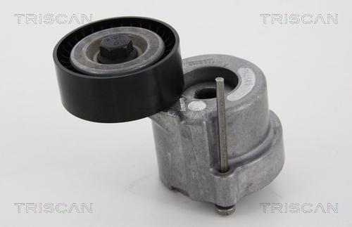 TRISCAN Riemenspanner, Keilrippenriemen