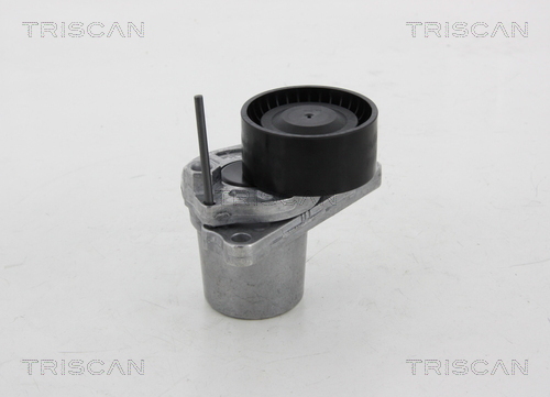 TRISCAN Riemenspanner, Keilrippenriemen