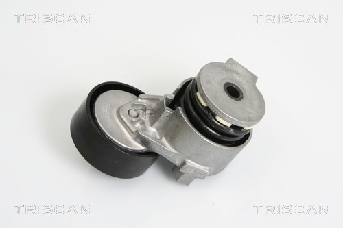 TRISCAN Riemenspanner, Keilrippenriemen