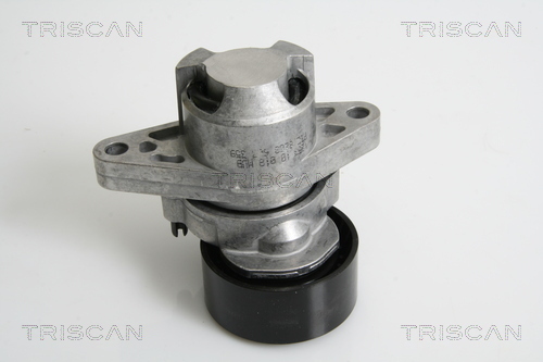 TRISCAN Riemenspanner, Keilrippenriemen