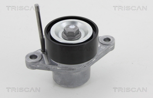 TRISCAN Riemenspanner, Keilrippenriemen
