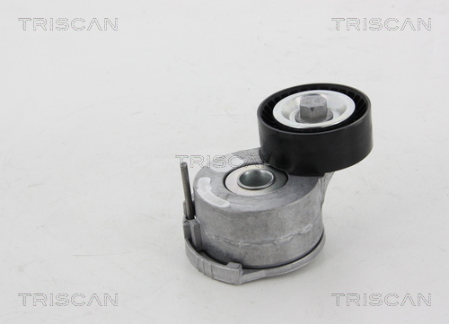 TRISCAN Riemenspanner, Keilrippenriemen