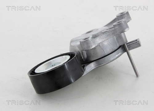 TRISCAN Riemenspanner, Keilrippenriemen