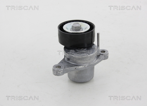TRISCAN Riemenspanner, Keilrippenriemen