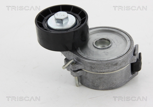 TRISCAN Riemenspanner, Keilrippenriemen