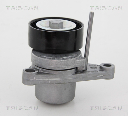 TRISCAN Riemenspanner, Keilrippenriemen